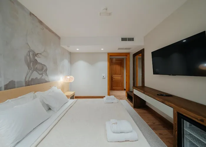 Vintage Boutique Hotel *